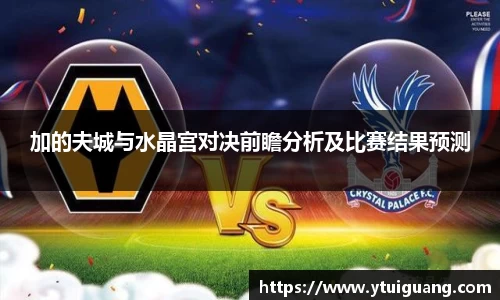 加的夫城与水晶宫对决前瞻分析及比赛结果预测